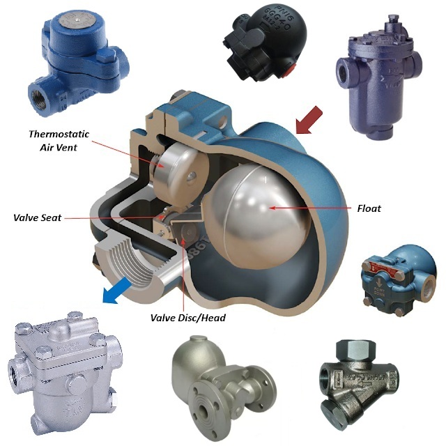 Steam Trap