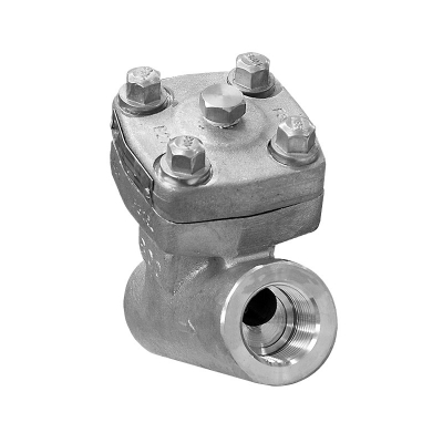 LỌC Y - THÉP KHÔNG GỈ 316 - NỐI REN NPT - CLASS 800