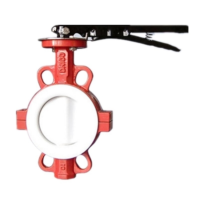 Van Bướm Đĩa Đệm Bọc Lót PTFE