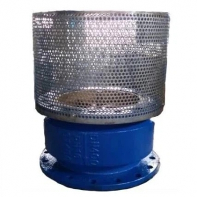 Rọ Bơm Gang Cầu Cho Giếng Khoan | Van Chân Bơm GGG40 GGG50 Giá Tốt