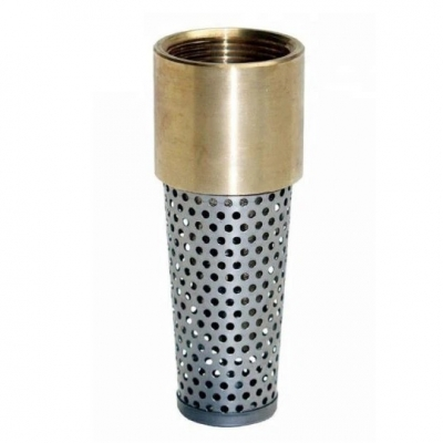 Rọ Bơm Đồng | Brass Foot Valve 200 PSI NPT/BSP
