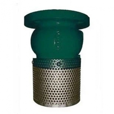 Rọ Bơm Gang PN16 Mặt Bích VINVAL | Van Chân Gang Cast Iron Foot Valve