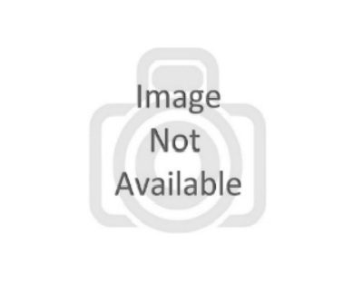Rupture Disc KSRRK | Đĩa Nổ Reverse Dome Shear Type Chống Quá Áp Chính Hãng